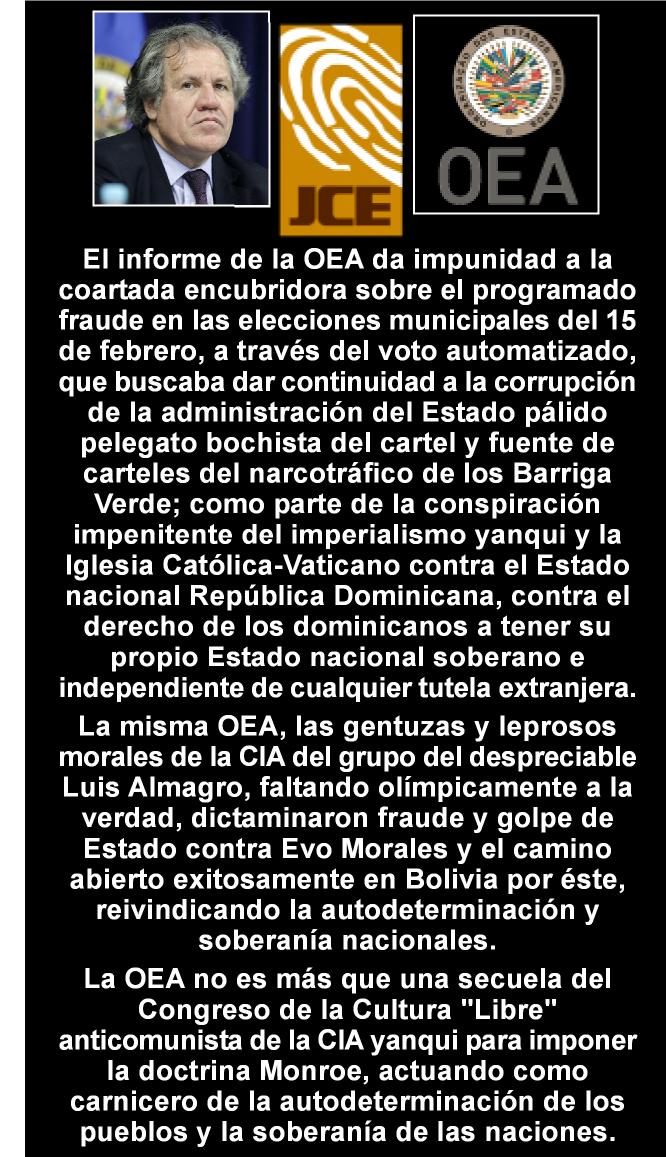 Reporte OEA