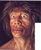 neanderthalensis.jpg (13768 bytes)